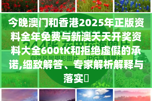 今晚澳門和香港2025年正版資料全年免費與新澳天天開獎資料大全600tK和拒絕虛假的承諾,細致解答、專家解析解釋與落實?