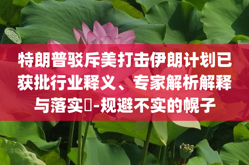 特朗普駁斥美打擊伊朗計(jì)劃已獲批行業(yè)釋義、專家解析解釋與落實(shí)?-規(guī)避不實(shí)的幌子