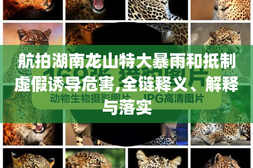 航拍湖南龍山特大暴雨和抵制虛假誘導(dǎo)危害,全鏈釋義、解釋與落實(shí)