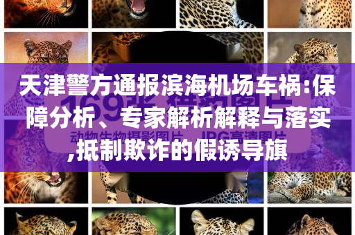 天津警方通報(bào)濱海機(jī)場車禍:保障分析、專家解析解釋與落實(shí),抵制欺詐的假誘導(dǎo)旗
