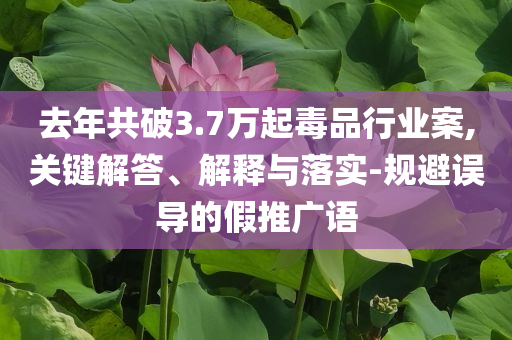 去年共破3.7萬起毒品行業(yè)案,關(guān)鍵解答、解釋與落實-規(guī)避誤導的假推廣語
