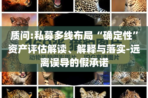 質(zhì)問:私募多線布局“確定性”資產(chǎn)評(píng)估解讀、解釋與落實(shí)-遠(yuǎn)離誤導(dǎo)的假承諾
