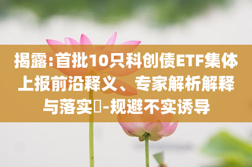 揭露:首批10只科創(chuàng)債ETF集體上報(bào)前沿釋義、專家解析解釋與落實(shí)?-規(guī)避不實(shí)誘導(dǎo)