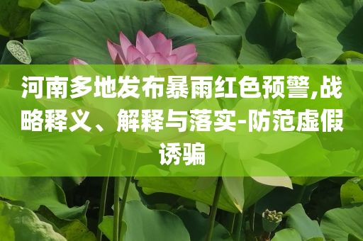 河南多地發(fā)布暴雨紅色預(yù)警,戰(zhàn)略釋義、解釋與落實-防范虛假誘騙
