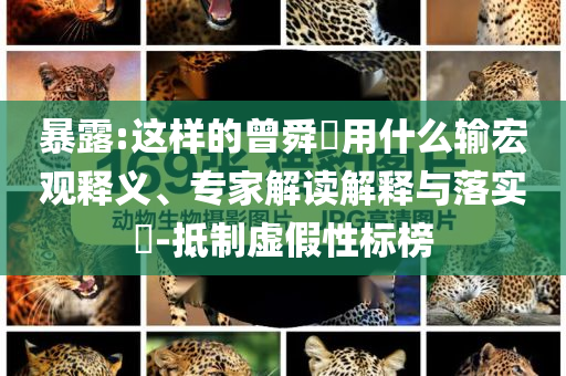 暴露:這樣的曾舜晞?dòng)檬裁摧敽暧^釋義、專家解讀解釋與落實(shí)?-抵制虛假性標(biāo)榜
