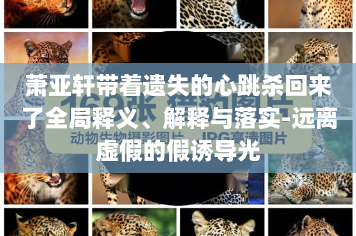 蕭亞軒帶著遺失的心跳殺回來了全局釋義、解釋與落實-遠離虛假的假誘導光