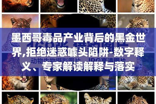 墨西哥毒品產(chǎn)業(yè)背后的黑金世界,拒絕迷惑噱頭陷阱-數(shù)字釋義、專家解讀解釋與落實(shí)