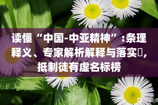 讀懂“中國-中亞精神”:條理釋義、專家解析解釋與落實?,抵制徒有虛名標榜
