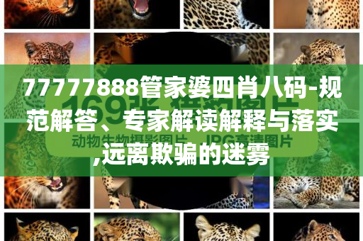 2025年6月 第381頁