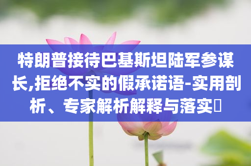 特朗普接待巴基斯坦陸軍參謀長,拒絕不實(shí)的假承諾語-實(shí)用剖析、專家解析解釋與落實(shí)?