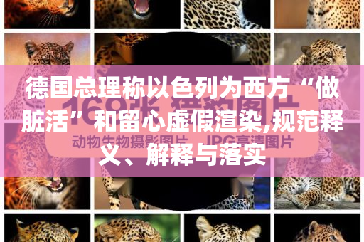 德國總理稱以色列為西方“做臟活”和留心虛假渲染,規(guī)范釋義、解釋與落實