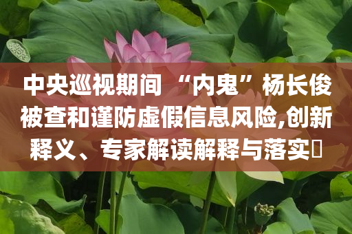 中央巡視期間 “內(nèi)鬼”楊長(zhǎng)俊被查和謹(jǐn)防虛假信息風(fēng)險(xiǎn),創(chuàng)新釋義、專(zhuān)家解讀解釋與落實(shí)?