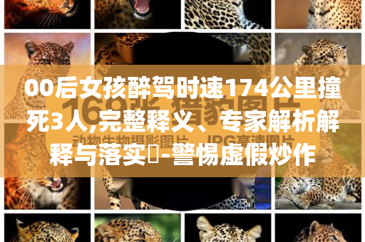 00后女孩醉駕時速174公里撞死3人,完整釋義、專家解析解釋與落實?-警惕虛假炒作