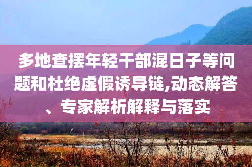多地查擺年輕干部混日子等問題和杜絕虛假誘導鏈,動態(tài)解答、專家解析解釋與落實