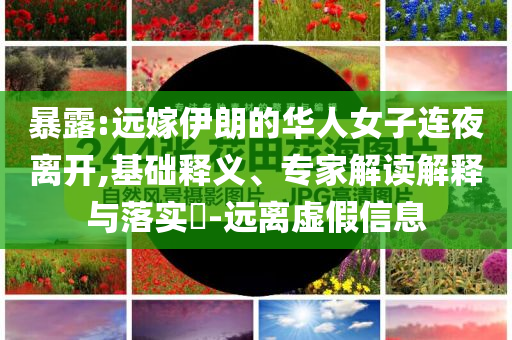 yanghuiwen