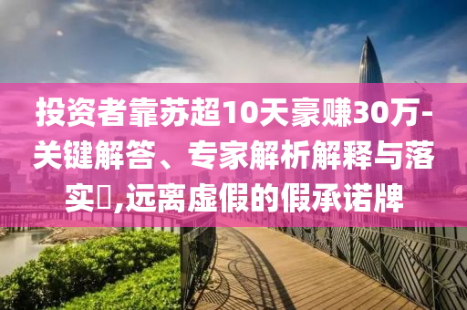 投資者靠蘇超10天豪賺30萬-關(guān)鍵解答、專家解析解釋與落實(shí)?,遠(yuǎn)離虛假的假承諾牌
