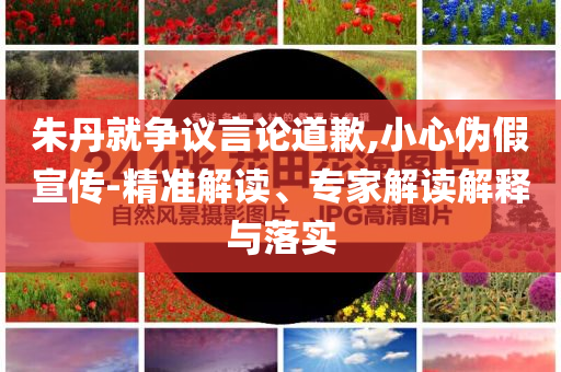 朱丹就爭議言論道歉,小心偽假宣傳-精準解讀、專家解讀解釋與落實
