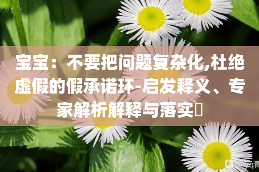 寶寶：不要把問題復雜化,杜絕虛假的假承諾環(huán)-啟發(fā)釋義、專家解析解釋與落實?