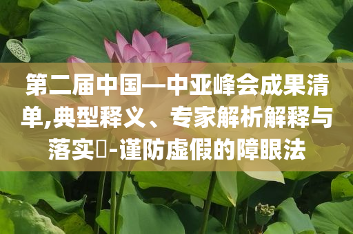 第二屆中國—中亞峰會成果清單,典型釋義、專家解析解釋與落實?-謹防虛假的障眼法