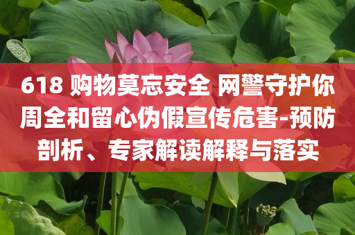 618 購物莫忘安全 網(wǎng)警守護(hù)你周全和留心偽假宣傳危害-預(yù)防剖析、專家解讀解釋與落實
