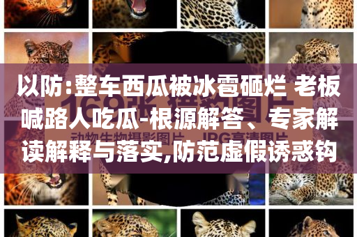 以防:整車西瓜被冰雹砸爛 老板喊路人吃瓜-根源解答、專家解讀解釋與落實(shí),防范虛假誘惑鉤