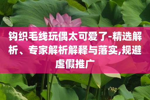 鉤織毛線玩偶太可愛了-精選解析、專家解析解釋與落實,規(guī)避虛假推廣