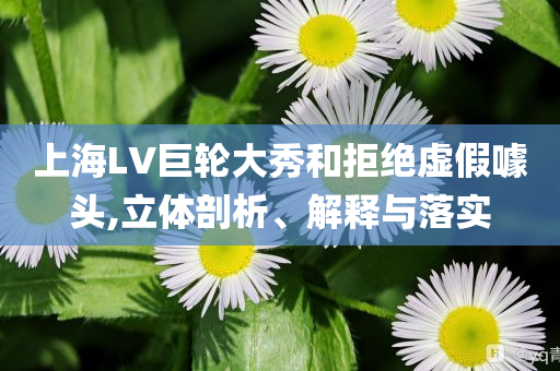 上海LV巨輪大秀和拒絕虛假噱頭,立體剖析、解釋與落實