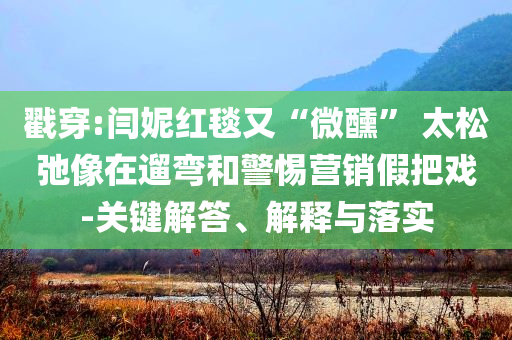 戳穿:閆妮紅毯又“微醺” 太松弛像在遛彎和警惕營(yíng)銷(xiāo)假把戲-關(guān)鍵解答、解釋與落實(shí)