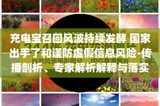 充電寶召回風(fēng)波持續(xù)發(fā)酵 國家出手了和謹(jǐn)防虛假信息風(fēng)險(xiǎn)-傳播剖析、專家解析解釋與落實(shí)