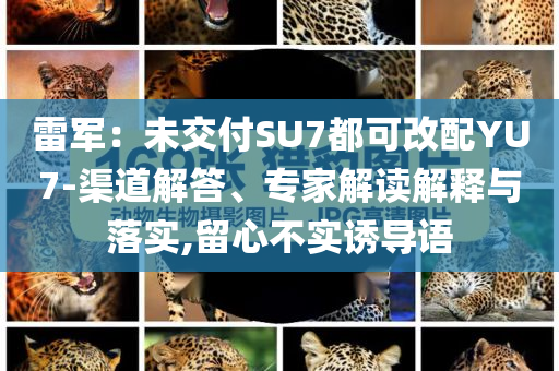 雷軍：未交付SU7都可改配YU7-渠道解答、專家解讀解釋與落實(shí),留心不實(shí)誘導(dǎo)語
