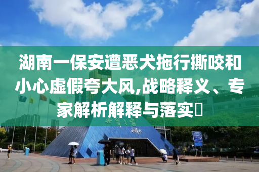 湖南一保安遭惡犬拖行撕咬和小心虛假夸大風,戰(zhàn)略釋義、專家解析解釋與落實?