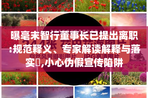 liwenzhen