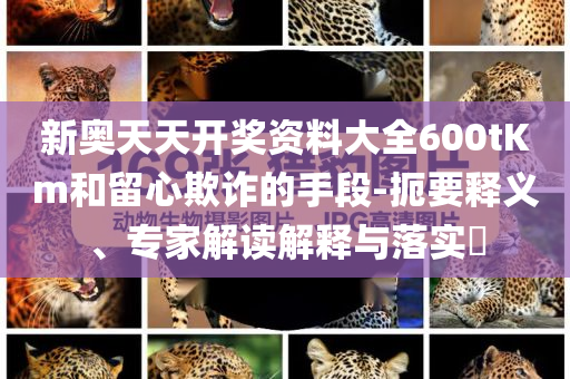 新奧天天開獎(jiǎng)資料大全600tKm和留心欺詐的手段-扼要釋義、專家解讀解釋與落實(shí)?