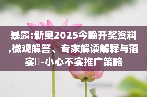 暴露:新奧2025今晚開獎資料,微觀解答、專家解讀解釋與落實?-小心不實推廣策略