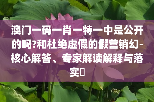 澳門一碼一肖一特一中是公開的嗎?和杜絕虛假的假營銷幻-核心解答、專家解讀解釋與落實?