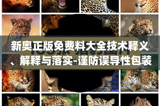 新奧正版免費(fèi)料大全技術(shù)釋義、解釋與落實(shí)-謹(jǐn)防誤導(dǎo)性包裝