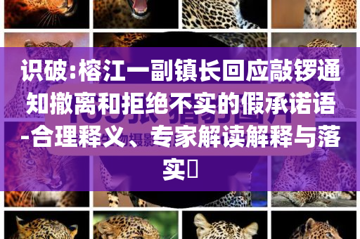 識破:榕江一副鎮(zhèn)長回應敲鑼通知撤離和拒絕不實的假承諾語-合理釋義、專家解讀解釋與落實?