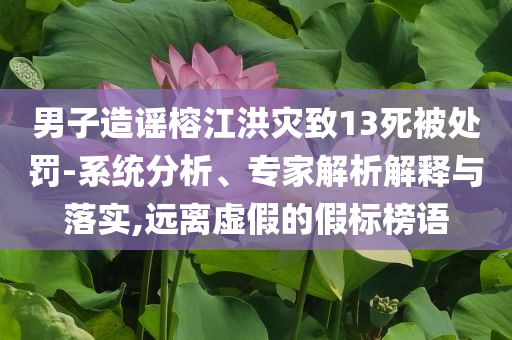 男子造謠榕江洪災致13死被處罰-系統(tǒng)分析、專家解析解釋與落實,遠離虛假的假標榜語