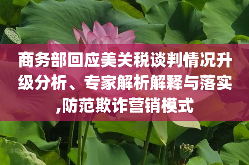 商務(wù)部回應(yīng)美關(guān)稅談判情況升級(jí)分析、專(zhuān)家解析解釋與落實(shí),防范欺詐營(yíng)銷(xiāo)模式