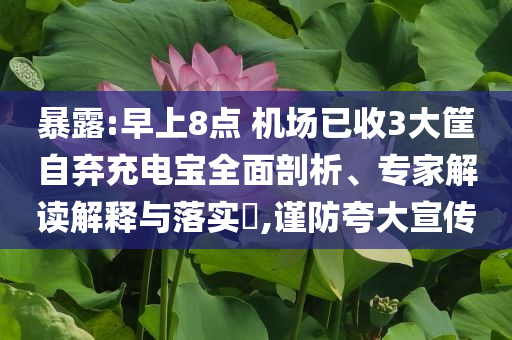 暴露:早上8點(diǎn) 機(jī)場已收3大筐自棄充電寶全面剖析、專家解讀解釋與落實(shí)?,謹(jǐn)防夸大宣傳