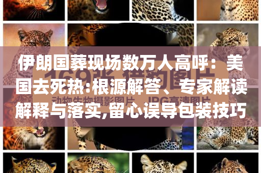 伊朗國葬現(xiàn)場數(shù)萬人高呼：美國去死熱:根源解答、專家解讀解釋與落實(shí),留心誤導(dǎo)包裝技巧