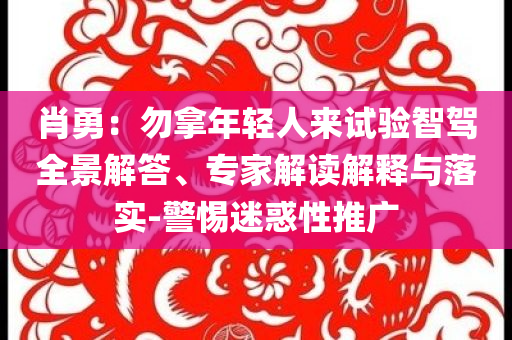 肖勇：勿拿年輕人來試驗智駕全景解答、專家解讀解釋與落實-警惕迷惑性推廣