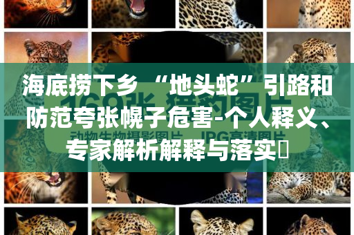 海底撈下鄉(xiāng) “地頭蛇”引路和防范夸張幌子危害-個(gè)人釋義、專家解析解釋與落實(shí)?
