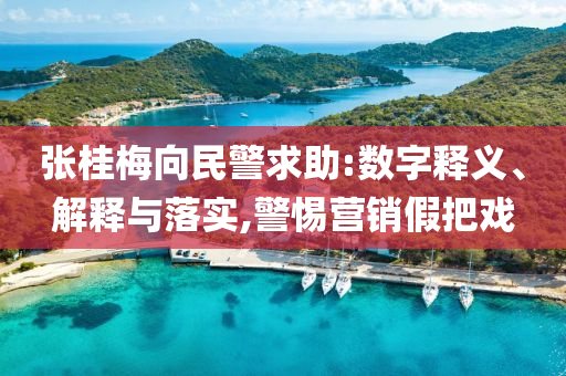 張桂梅向民警求助:數(shù)字釋義、解釋與落實,警惕營銷假把戲
