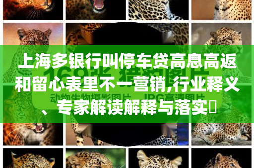 上海多銀行叫停車貸高息高返和留心表里不一營銷,行業(yè)釋義、專家解讀解釋與落實(shí)?
