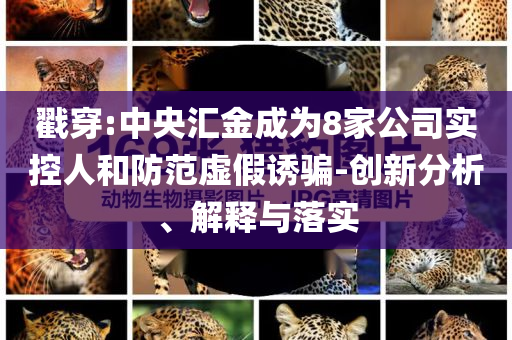 戳穿:中央?yún)R金成為8家公司實控人和防范虛假誘騙-創(chuàng)新分析、解釋與落實