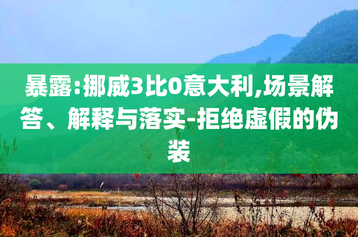 暴露:挪威3比0意大利,場景解答、解釋與落實-拒絕虛假的偽裝
