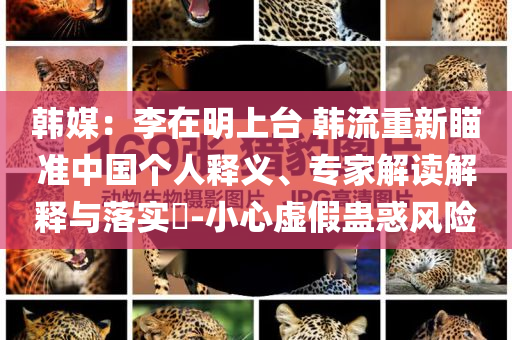 韓媒：李在明上臺 韓流重新瞄準(zhǔn)中國個(gè)人釋義、專家解讀解釋與落實(shí)?-小心虛假蠱惑風(fēng)險(xiǎn)