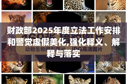 財政部2025年度立法工作安排和警覺虛假美化,強(qiáng)化釋義、解釋與落實