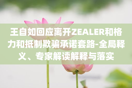 王自如回應(yīng)離開ZEALER和格力和抵制欺騙承諾套路-全局釋義、專家解讀解釋與落實